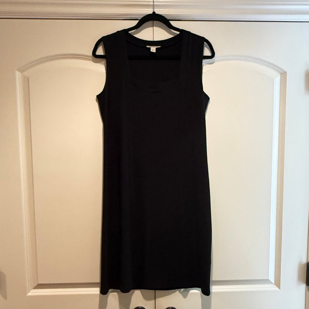 Boston Proper Dress with Princess Seaming Size 8